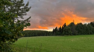 Vihreä pelto, taustalla metsää ja oranssina hehkuva auringonlasku pilvistä taivasta vasten.