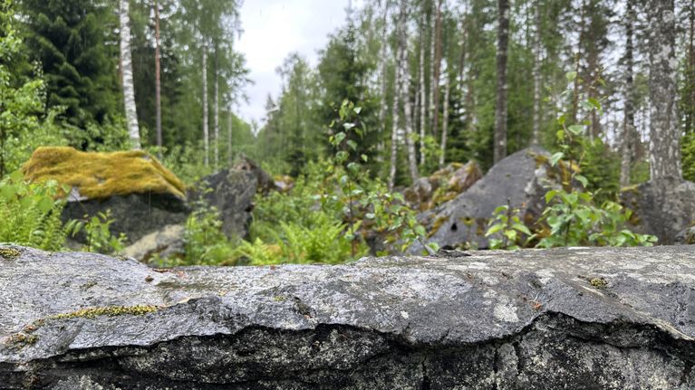 Hangon rintama pelasti Helsingin neuvostojoukkojen maahyökkäykseltä ...