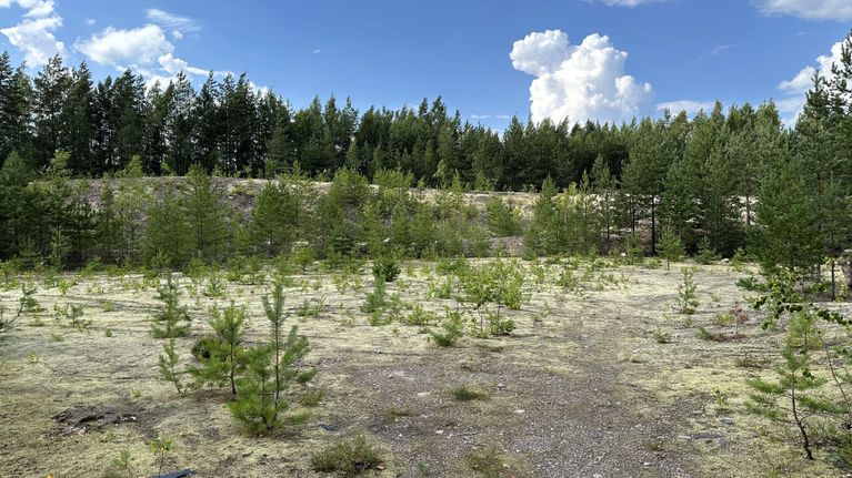Karkkilan Toivikkeen alueella sijaitseva sorakuoppa, jota koskevasta maanottosopimuksesta on muodostunut kaupungin ja Ruduksen välisen kiistan kohde.