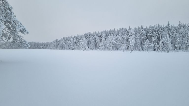 Lumista järveä ja metsää sen takana.