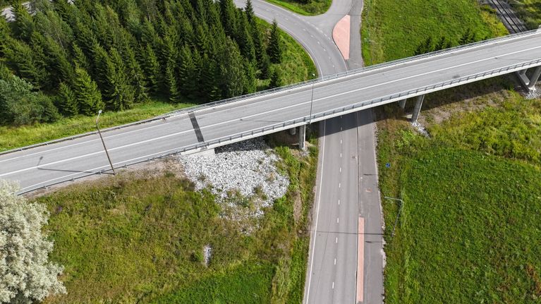 Moottoritie kulkee viistosti alikulkutien yli, ympärillä ruohoa ja puita. Kuvassa ei ole tekstiä.