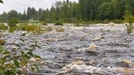 Strong water currents in the Iijoki River. In the background there are trees.