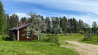 Korteniemen perinnetilan pihapiiri kesäkuun alussa