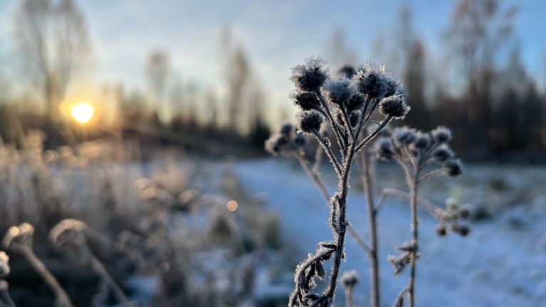 lumi-ja-r-nt-sade-tekiv-t-kelist-karmean-perjantai-iltana-ajokeli