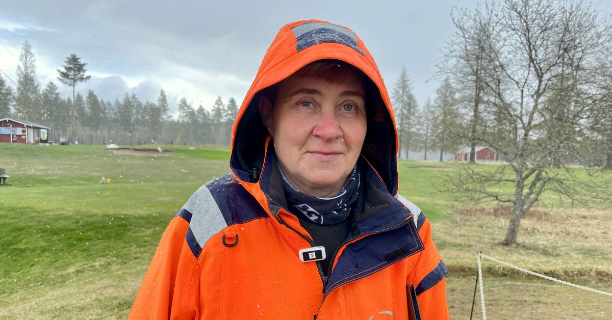 Siilinjärvellä golfkenttämestari etsii Savoon sopivaa viheriötä nurmilaboratoriossaan, mikä kiinnostaa jo Kanadassakin
