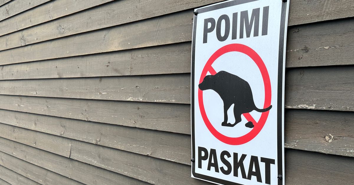 Punkkilääke koirankakassa on myrkkypommi – neljä tapaa vähentää haittoja luonnolle