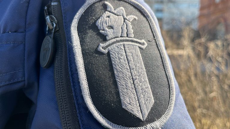 Tummansävyinen poliisin hihamerkki. Miekka, jolla on leijonan pää. 