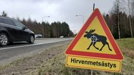 Hirvenmetsästyksestä varoittava liikennenmerkin näköinen kyltti tien vieressä.
