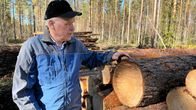 Metsänomistaja Timo Mikkilä esittelee viisikymppistä mäntyä, joka kaatui Hannes-myrskyssä. 