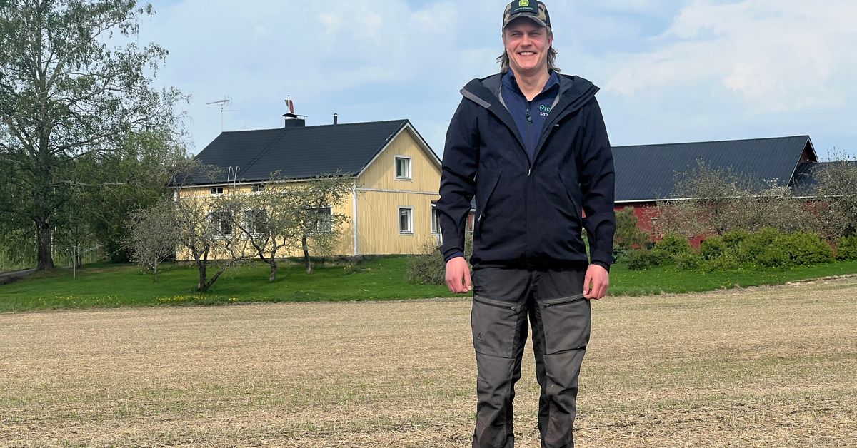 Lappeenranta kustantaa madoille ihanteelliset olosuhteet – päästöt vähenevät tehokkaammin kuin kaupungin omilla toimilla