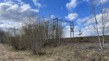 Kyyt luikertelevat koulun pihalla Hausjärvellä – asiantuntija ehdottaa ...