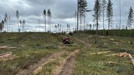 Metsätyökone nostaa puita keskellä avohakkuualuetta.