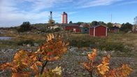 eHöstlöv i förgrunden, i bakgrunden en liten by med små byggnader och en fyr.