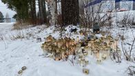 Kuvassa näkyy suuri määrä muistokynttilöitä aseteltuna lumiseen maahan puun juurelle. Taustalla näkyy puita ja teollisuusrakennuksia.