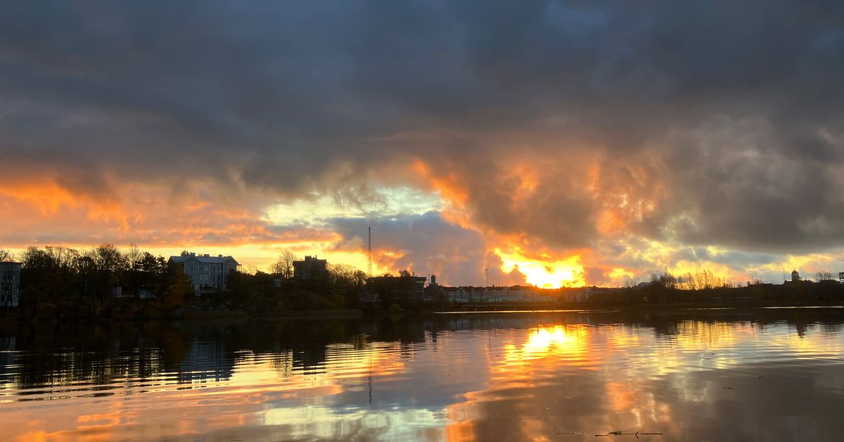 October was unusually mild and damp – and November is set to be, too ...