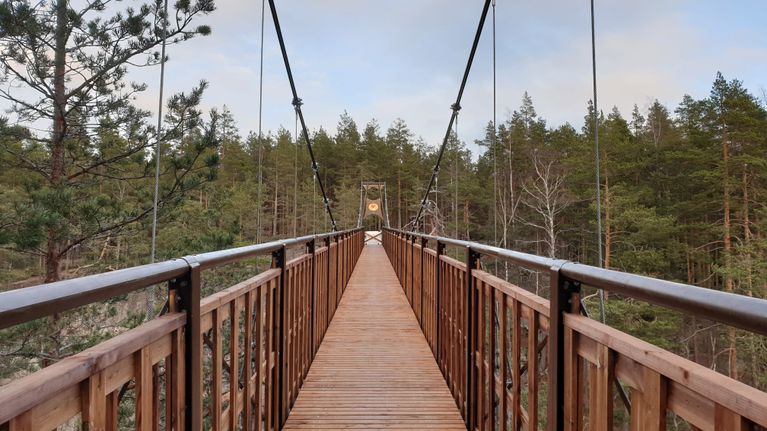 Repoveden kansallispuiston uusi silta on nyt valmis – se on niin vankka ...