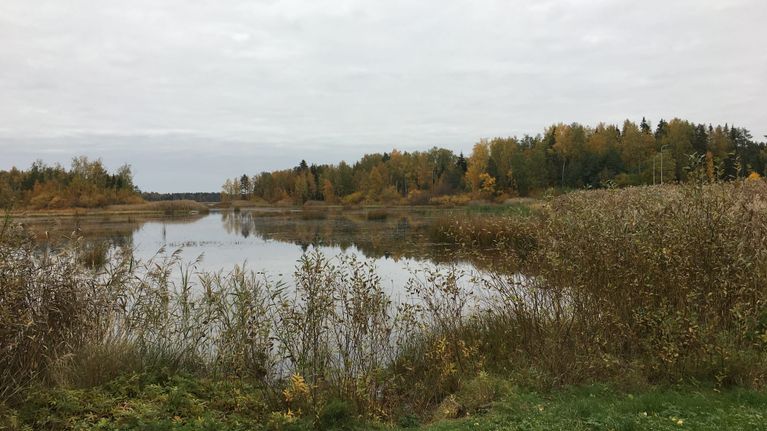 Pukinjärvi