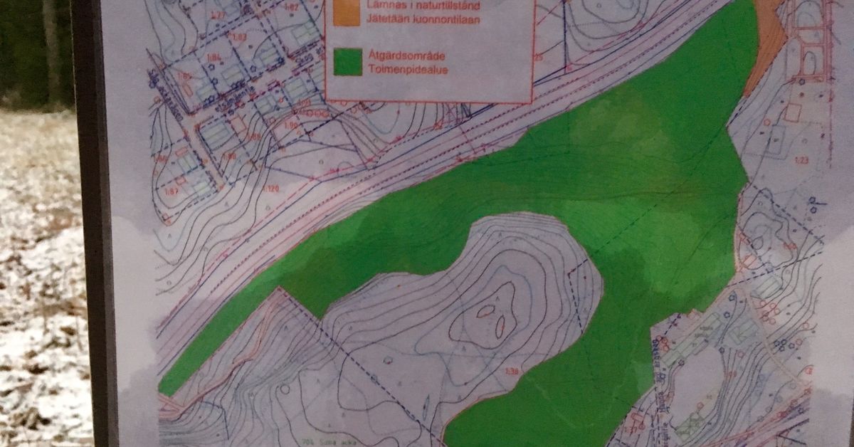 Raseborgs natur: Staden måste stoppa avverkningarna i Pojo | Västnyland ...