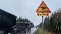 Hirvivaroitusmerkki kolmostiellä Jalasjärvellä, rekka ajaa merkin ohi.