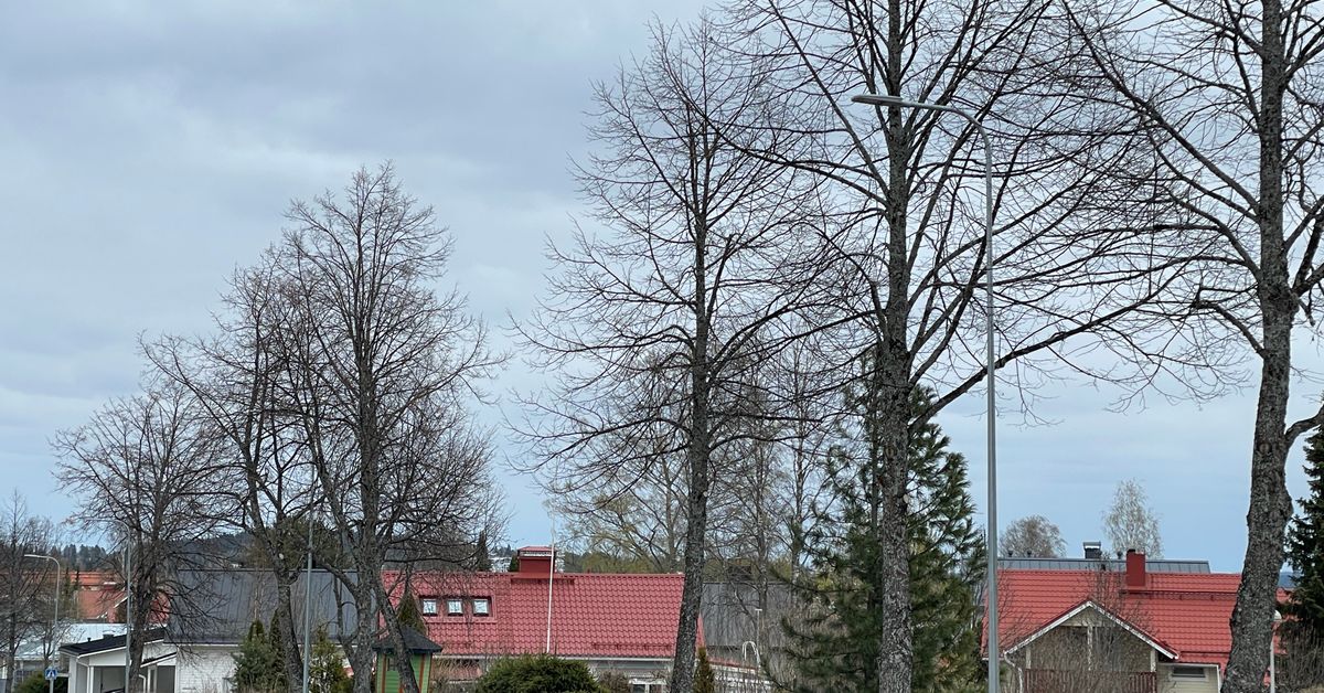 Kaupungeissa on oltava myös hiljaisia asuinalueita – Kuopiossa sellainen on lähes keskustassa