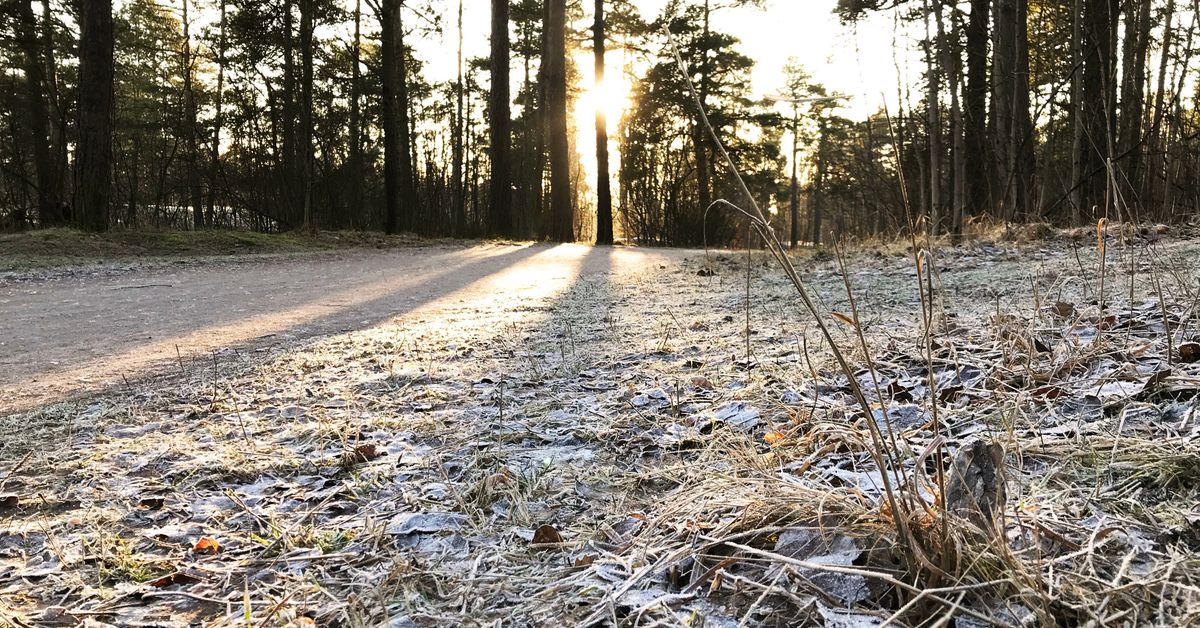 Veckoslutet bjuder på soligt men kyligt väder – sedan kommer det snö ...