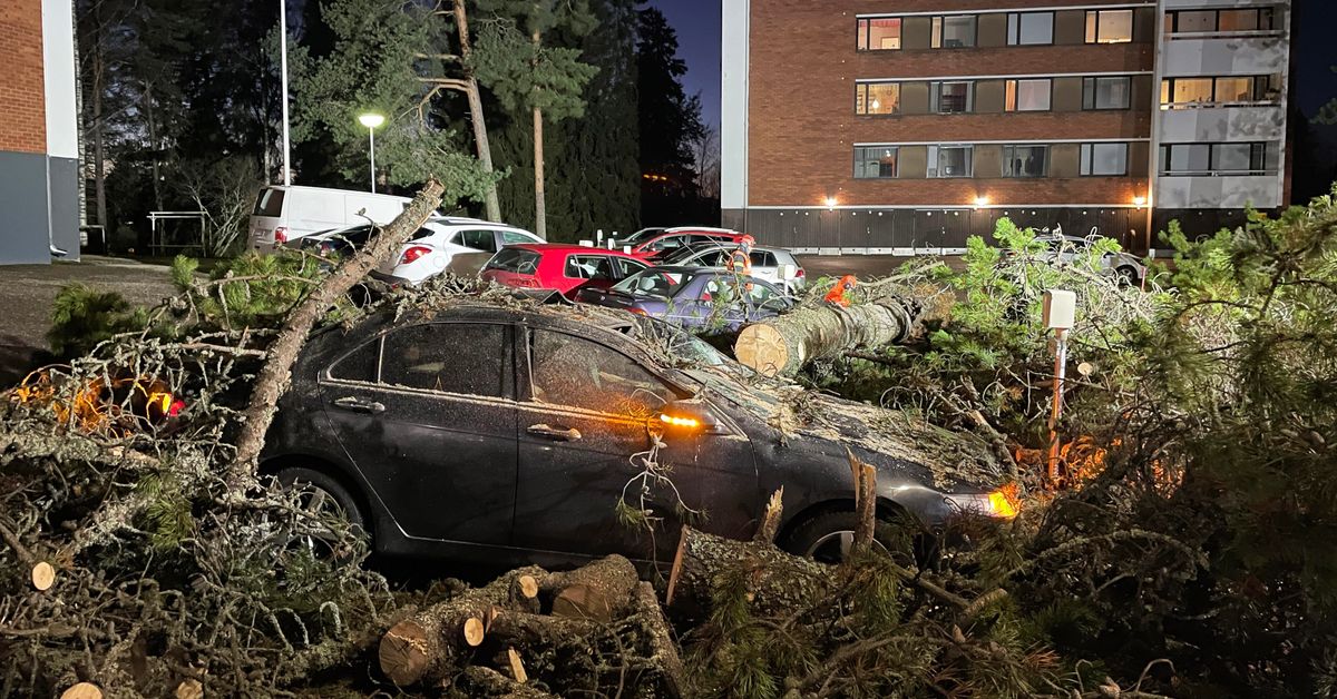 Gusty winds knock out power to thousands of households