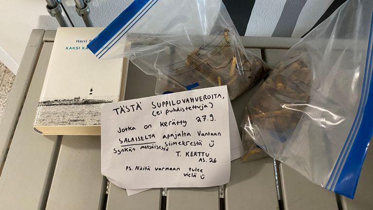 Trattkantareller i en påse.