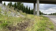 Vihreää nurmikkoa ja kivikkoa moottoritien alikulun reunalla, taustalla metsää ja pilvinen taivas.