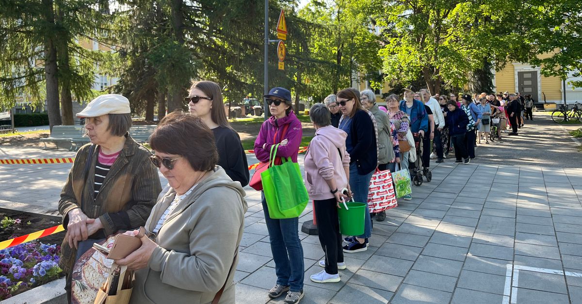 Orvokkeja ilmaiseksi – valtuustoaloite toi tuhansia kukkia t