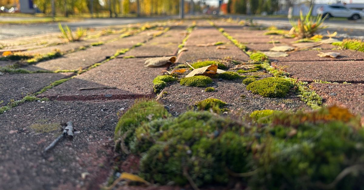 yle.fi