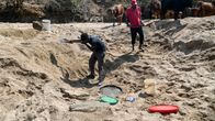 Bybor i Zimbabwe gräver efter vatten i en uttorkad flodfåra under torka år 2024.
