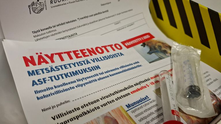 Kuvassa on keltamustaraitainen pahvilaatikko. Sen sisällä on ohje, jossa neuvotaan afrikkalaisen sikaruton tutkimukseksi villisiasta otettavan näytteet otto. Kuvan reunassa on verinäytteen ottamiseen käytettävät tyhjiöputki ja ruisku. 