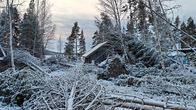 Rakennus puustoisella alueella, missä paljon myrskyn kaatamia ja horjuttamia puita.