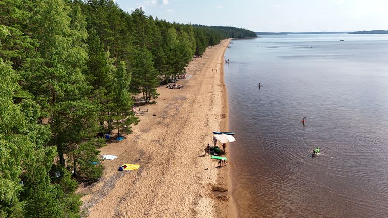 A sunny lakeshore. 