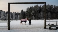 En person håller i tyglarna till en häst som är klädd i ett rutigt täcke. Det är snö på marken och frost på träden omkring.