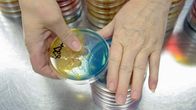 Salmonella cultures growing in round Petri dishes.