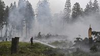 Palomies sammuttaa vettä suihkuttamalla savun peittämää metsäaluetta, taustalla näkyy puiden runkoja.