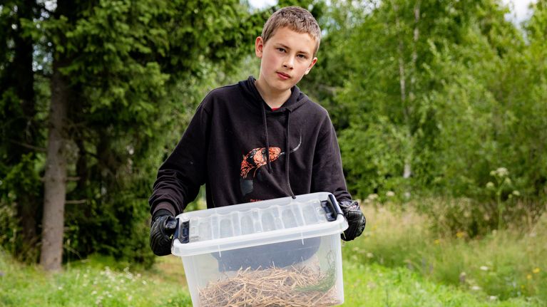 En tonårig pojke hjåller i en plastlåda med ormar i på ett motionsspår.