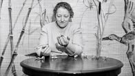 Selvänäkijä Aino Kassinen ennustaa tinoista kansanedustajien tulevaisuutta joulukuussa 1959.