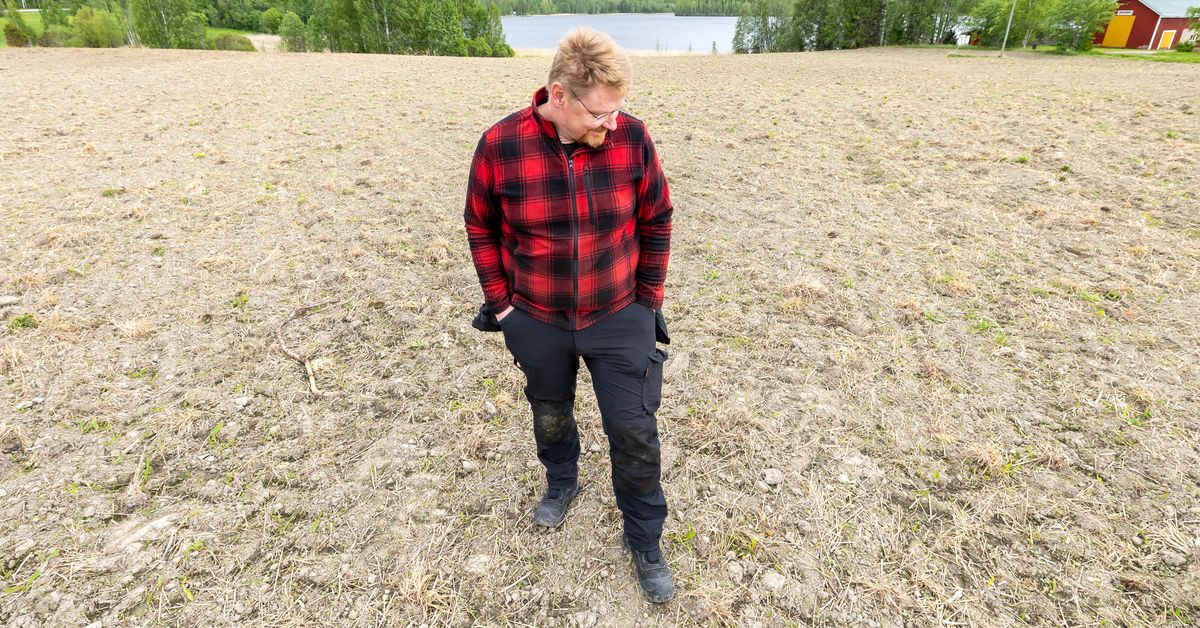 Jarkko Nurminen ottaa askelia kohti ilmastotehokasta ruoantuotantoa Keski-Suomessa – ”Jonkun on oltava tarpeeksi hullu”