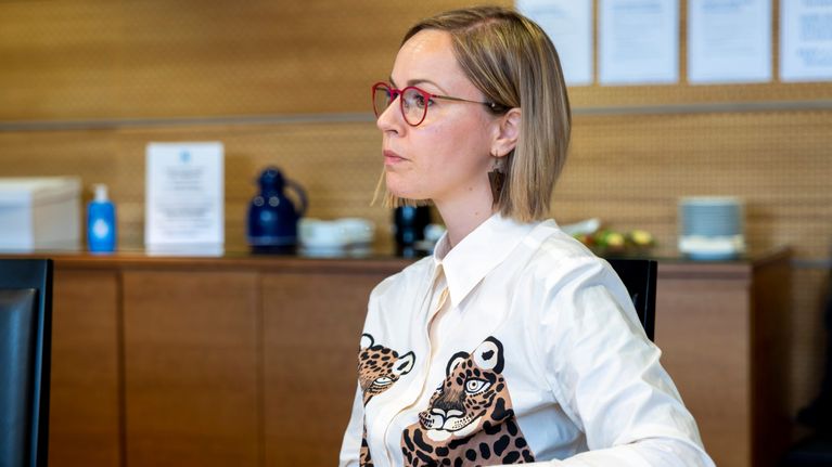 Hanna Sarkkinen, sosiaali- ja terveysministeri, Vasemmistoliiton kansanedustaja