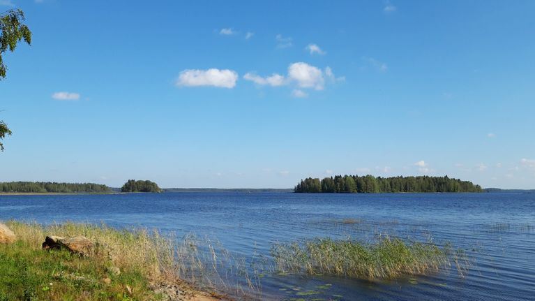 Lestijärven rantavettä.