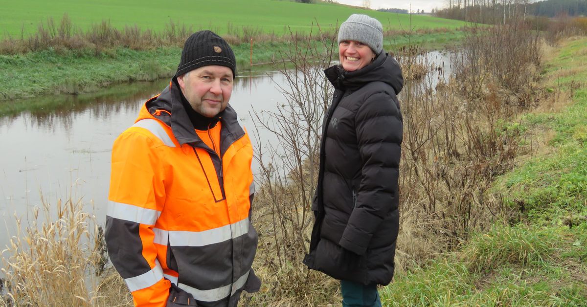 Raseborgs å har inte svämmat över åkrar i höst – vattenskyddsprojektet ...