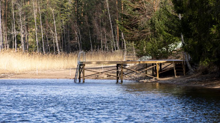 Laituri hiljaisen järven rannalla keväisessä maisemassa. Veden pinta huomattavan alhaalla.