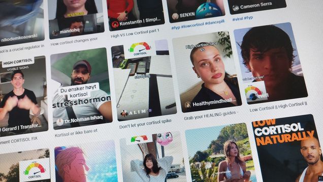 Tietokoneen näytöllä TikTok-videoiden esikatselukuvia ja tekstejä, kuten ”Do you want high cortisol stress hormone?”.