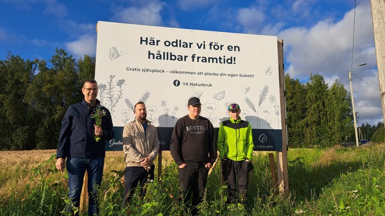 Yrkesakademins mångfaldsremsa i Vasa ett paradis för insekterna ...