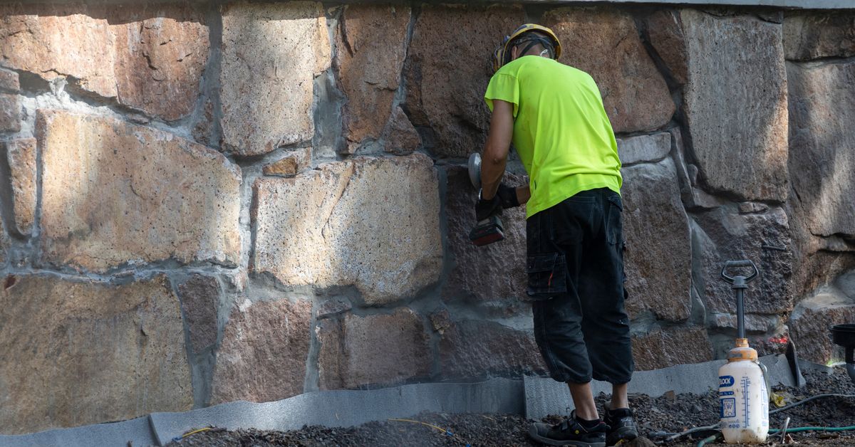 Unemployment up from last June, but levelling off