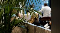 Students are sitting on a couch with a green plant in the foreground.