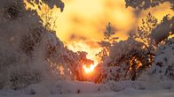 Pakkasaamun auringonnousu Tampereella.