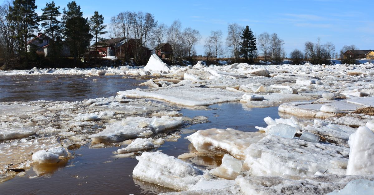 Pohjalaisjoet voivat tulvia vappuna – nopeimmat vedennousut rannikolla ...